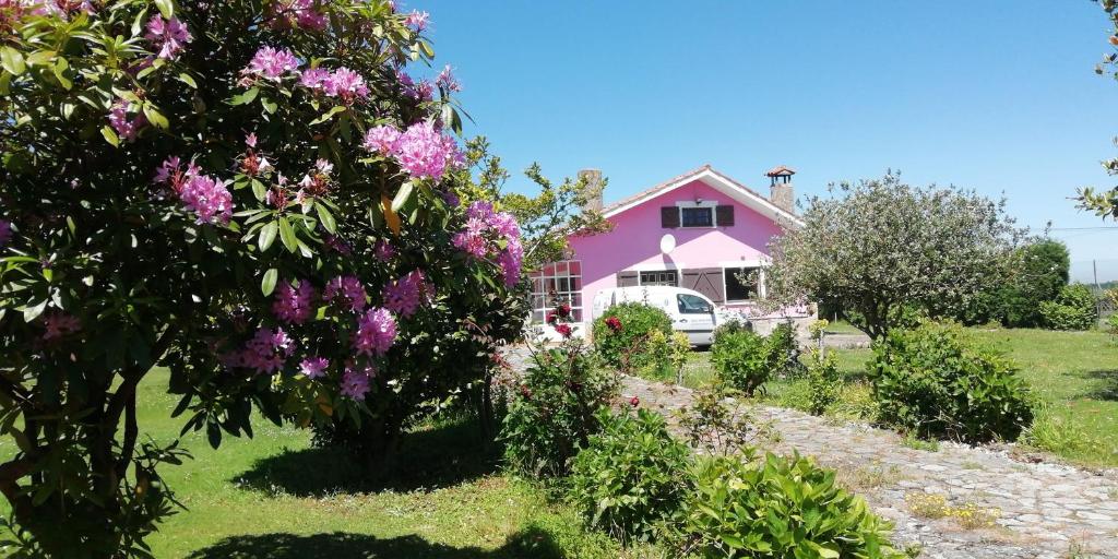 a pink house with a tree with purple flowers at CASA QUINTANA in Salamir