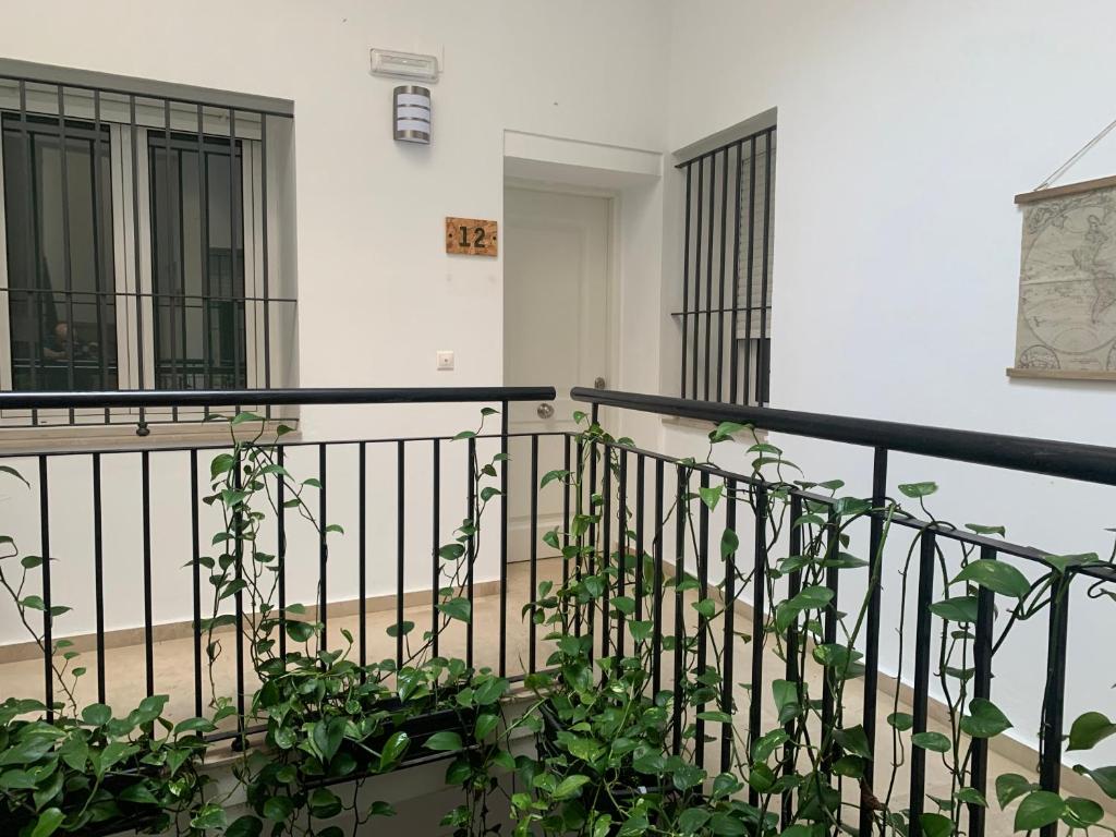 Balkón alebo terasa v ubytovaní La Casa Morada