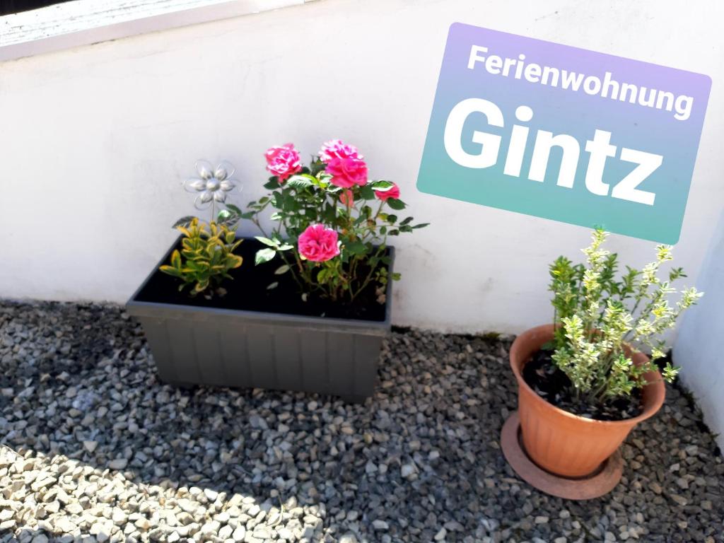 deux plantes en pot assises à côté d'un mur avec un panneau dans l'établissement Ferienwohnung Haus Gintz, à Blieskastel
