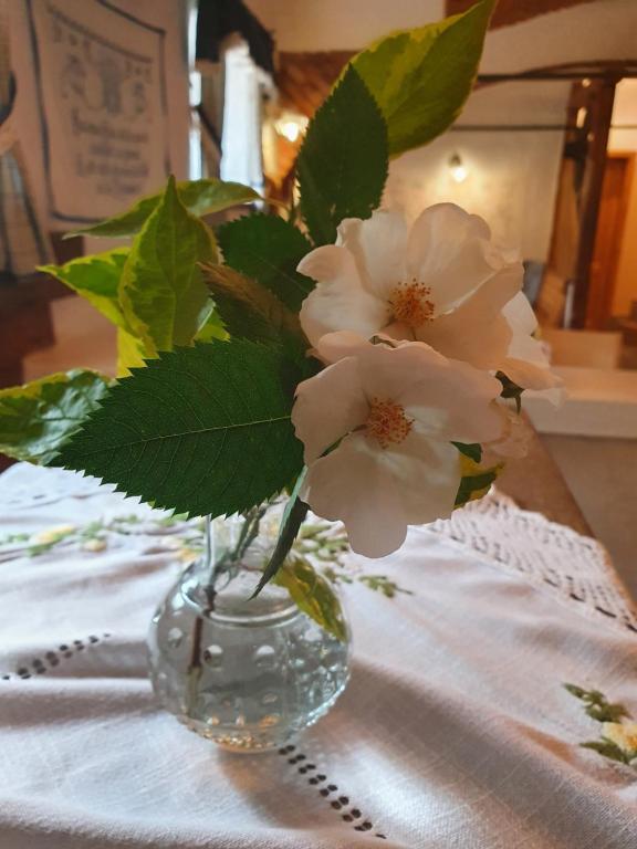 Fotografie z fotogalerie ubytování Landhof Steinbäck v destinaci Sankt Stefan ob Stainz