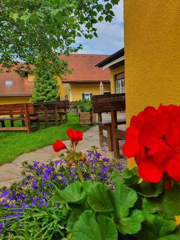 Zahrada ubytování Landhof Steinbäck