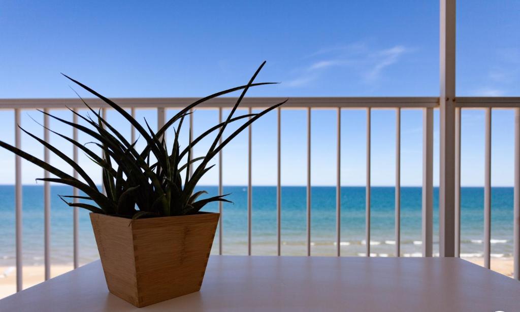 Apartamento primera línea de playa - Housity
