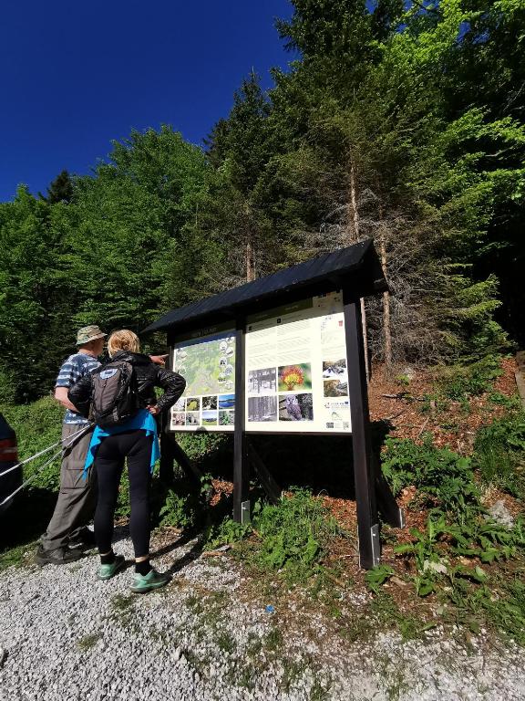 Příroda nedaleko apartmánu