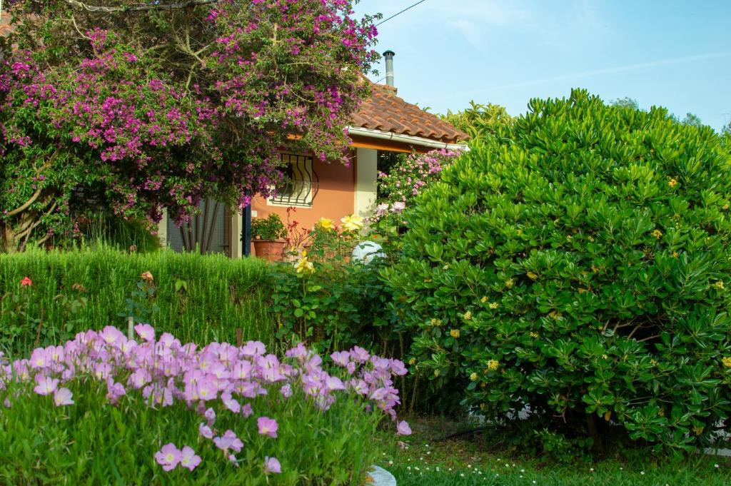 A garden outside Rose Garden