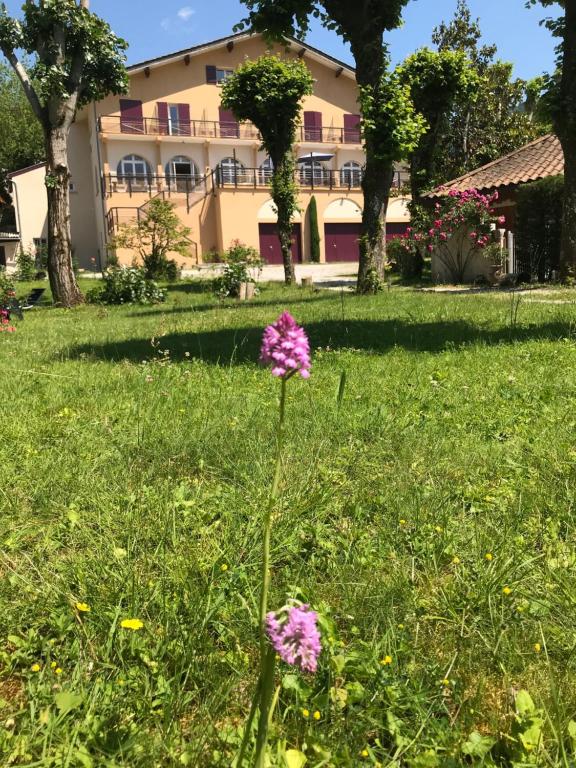 a pink flower in the grass in front of a building at Logis Hôtel Restaurant Le Castel Fleuri in Saint-Jean-en-Royans