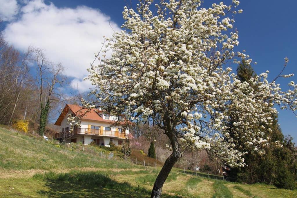 un árbol con flores blancas delante de una casa en Le Merle Enchanteur en Paladru