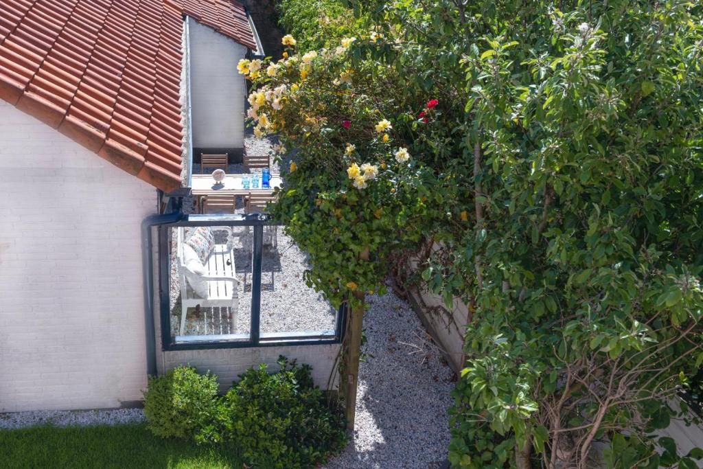 Zahrada ubytování B&B Duinblick