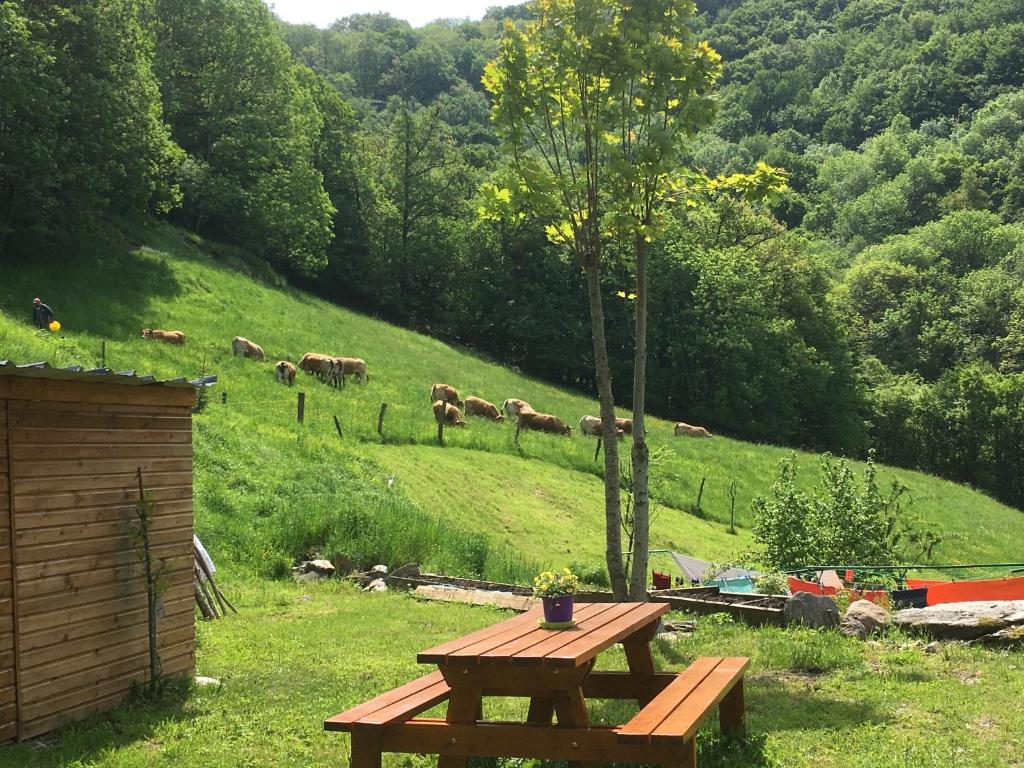 Příroda nedaleko bed and breakfast