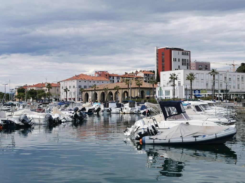 a bunch of boats are docked in a harbor at City center apartment in Koper