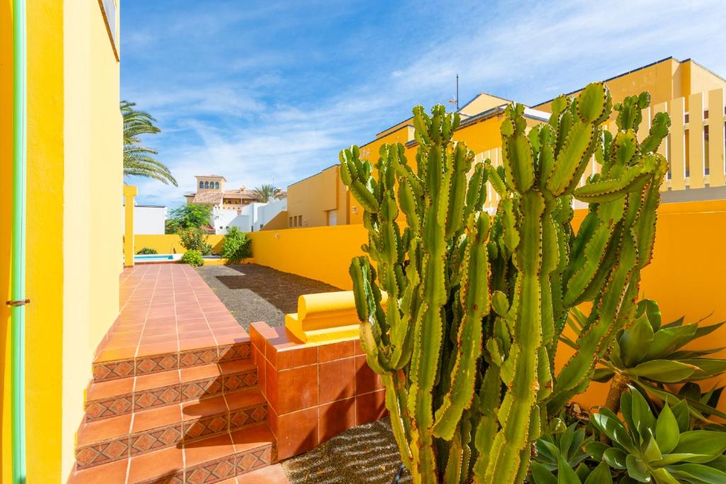 Fotografie z fotogalerie ubytování Villa Mariposas v destinaci Corralejo