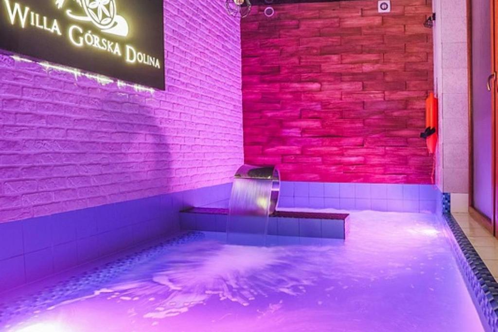 Willa Górska Dolina Jacuzzi & Sauna - 18