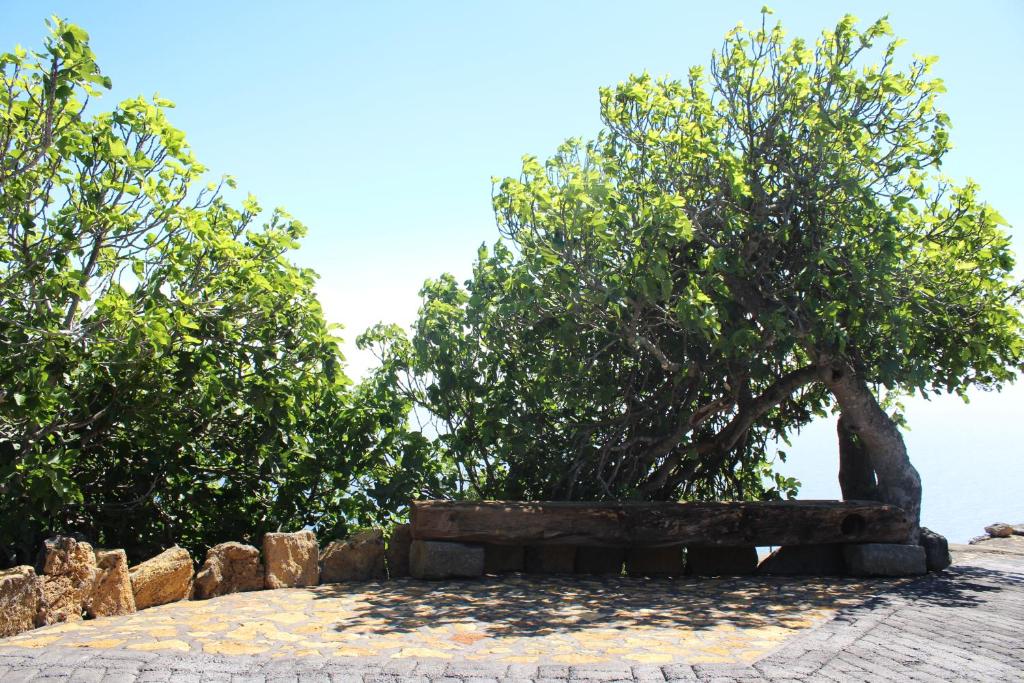 Casa Rural Quinta Los Naranjos, Tigalate – Updated 2022 Prices