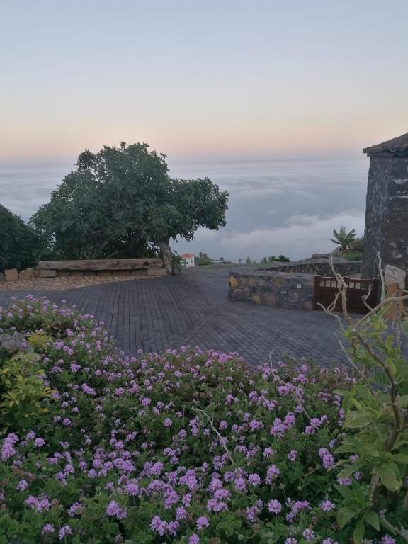 Casa Rural Quinta Los Naranjos, Tigalate – Precios ...