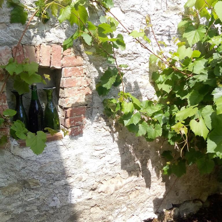 A garden outside Romantic Boutique Hospitality