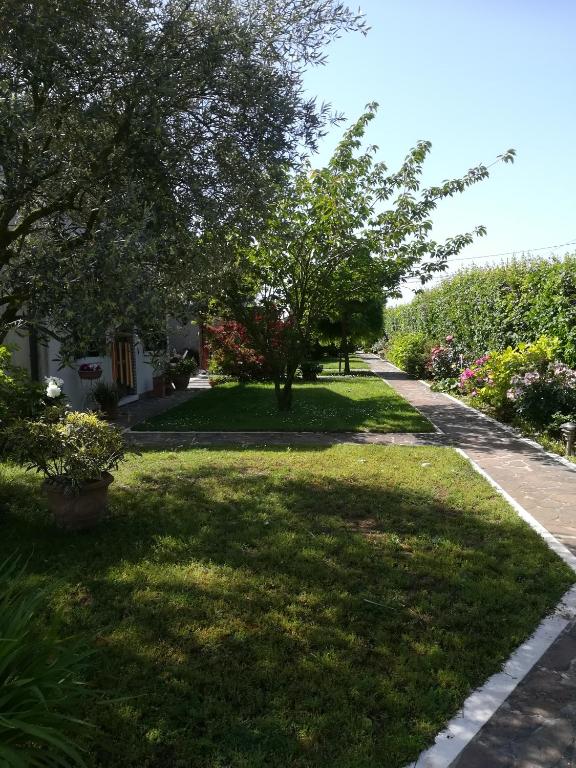 a grassy yard with trees and a sidewalk at Casa Pianta in Cavallino-Treporti