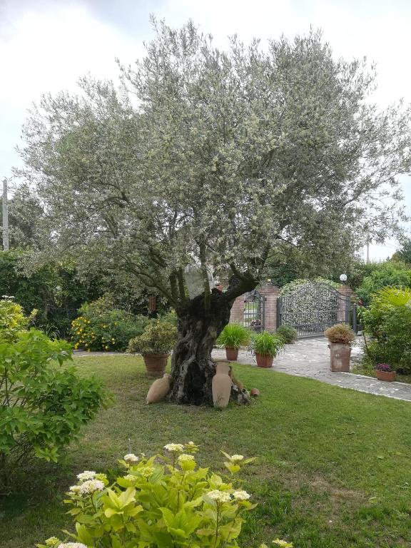 a statue of a woman sitting under a tree at Casa Pianta in Cavallino-Treporti