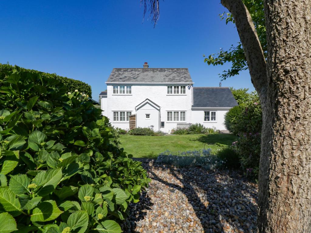 una casa blanca con un árbol en primer plano en Rowan Cottage, en Cubert