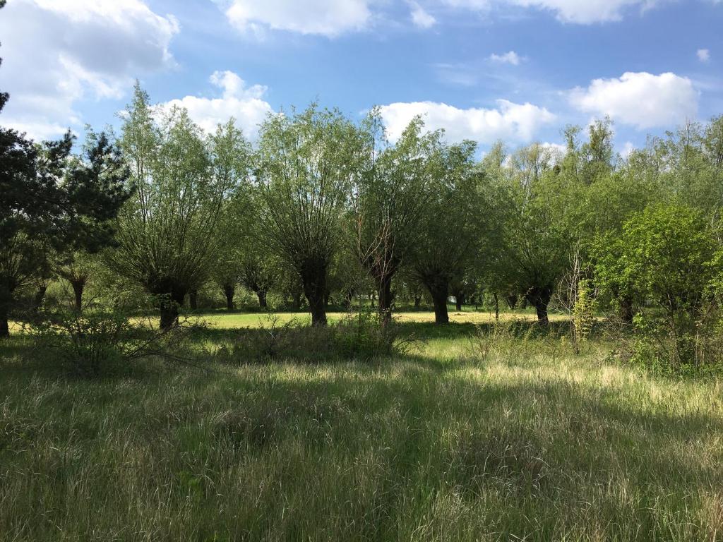 Agroturystyka Kobylnica nad Wisłą - One-Bedroom Apartment