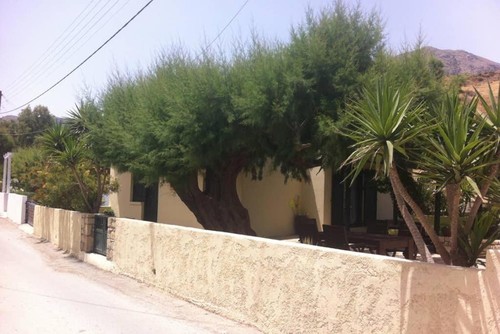 Una pared con un árbol delante de una casa en Mini Villas Green en Keratokampos