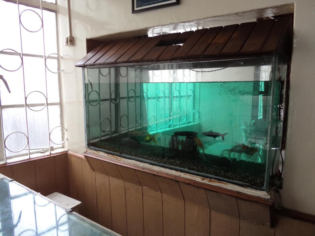 a fish tank in a room with a window at Hotel Embassy in Shillong