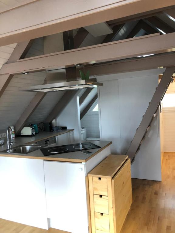 Kuchyň nebo kuchyňský kout v ubytování Seehütte Neusiedlersee - Pfahlbau Waterfront 1