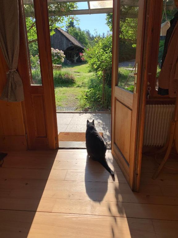Le Manoir des Sens - Forêt de Bergheim – photo 28