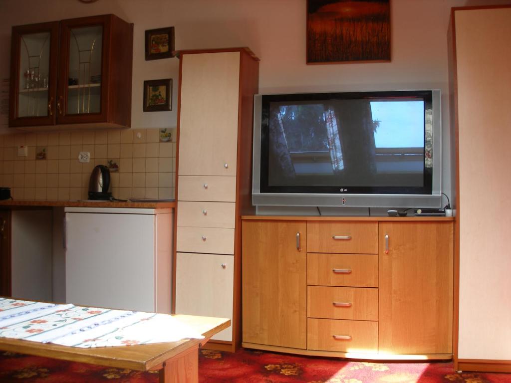 TV a/nebo společenská místnost v ubytování Złota Rybka