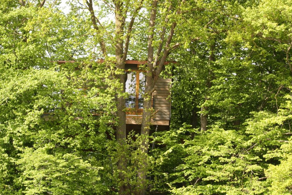 Baumhaus auf dem Kellerberg في Fischach: منزل شجرة في وسط الغابة