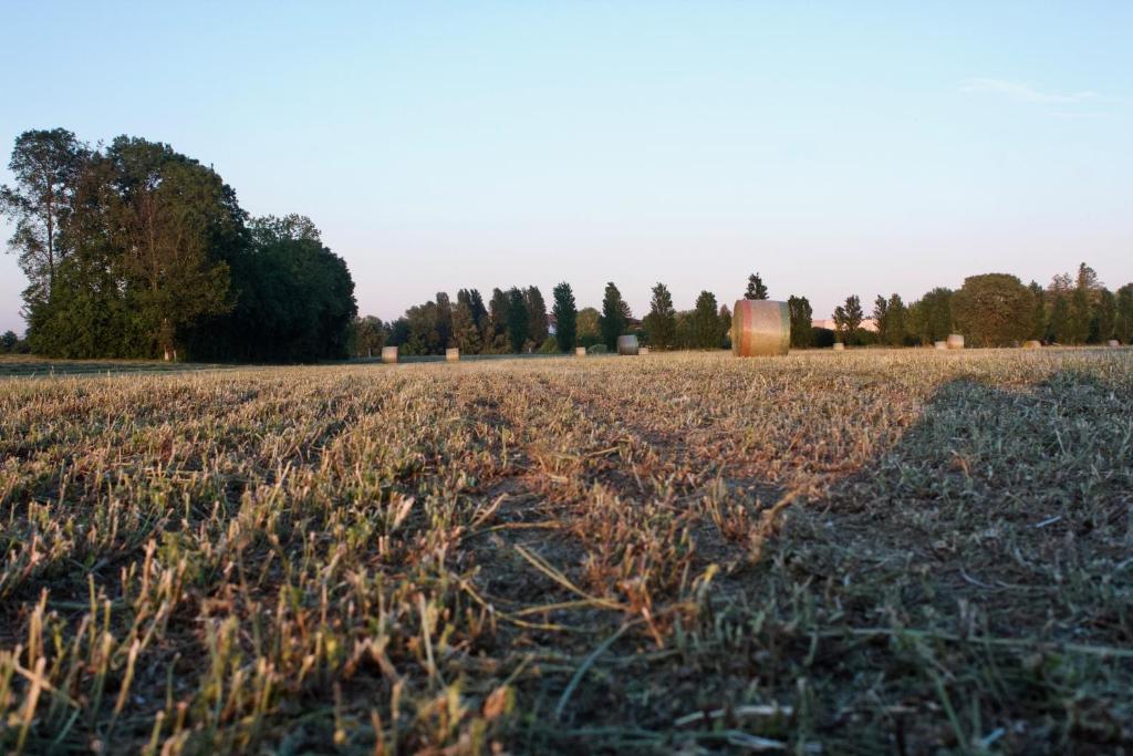 Zdjęcie z galerii obiektu Il Gesuita w mieście Mantova