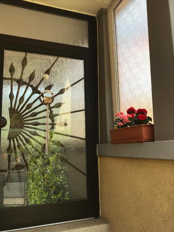 Zahrada ubytování Rheinblickzimmer