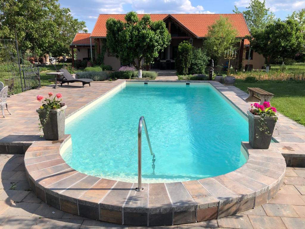 a swimming pool in a yard with a house at Patrimonium Wellness Apartments in Tiszaszentimre