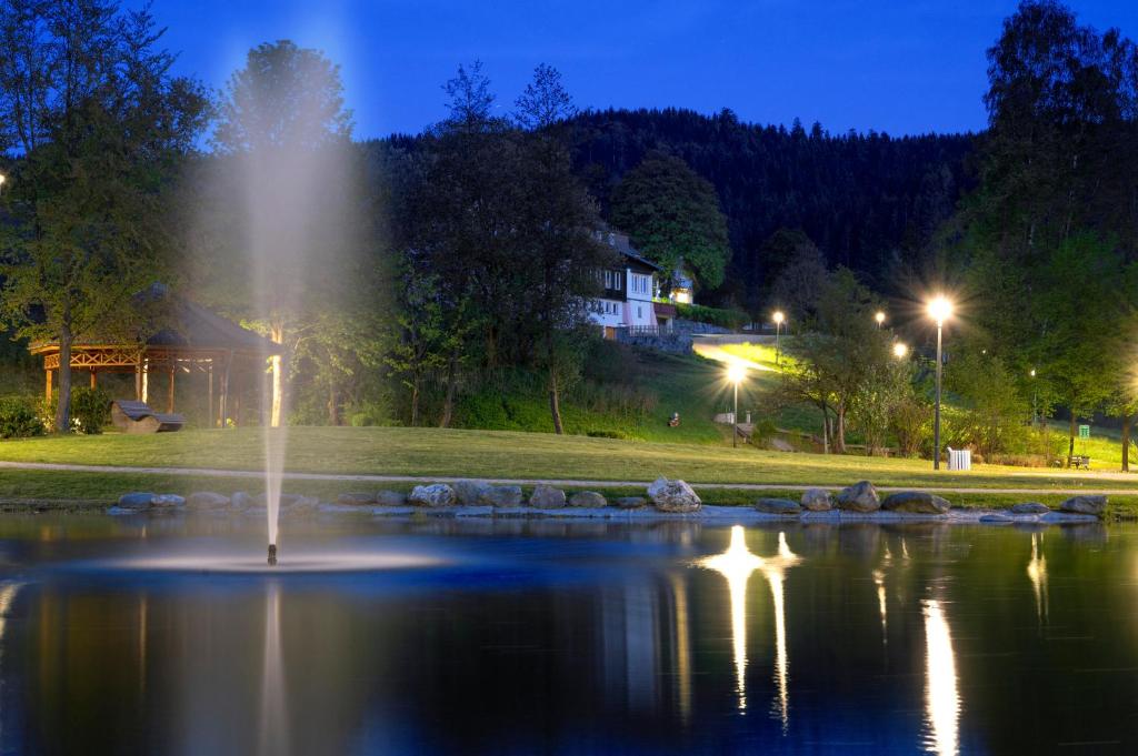 a fountain in the middle of a pond at night at Familotel Mein Krug in Warmensteinach