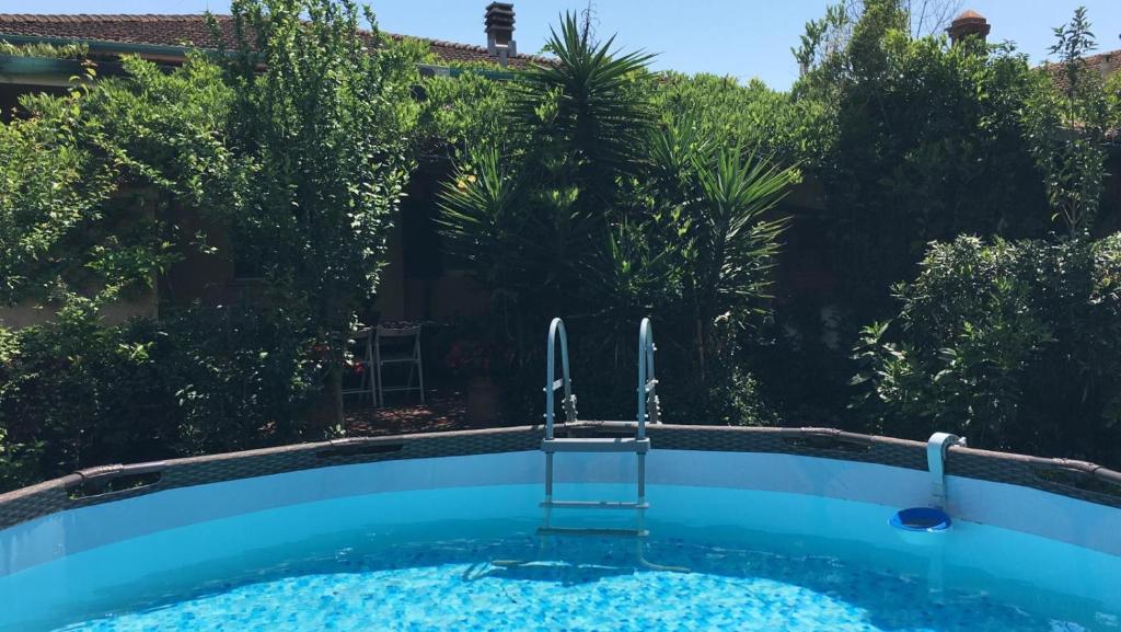 una piscina en un patio con árboles en Casa Maya con giardino privato, en Torre del Lago Puccini