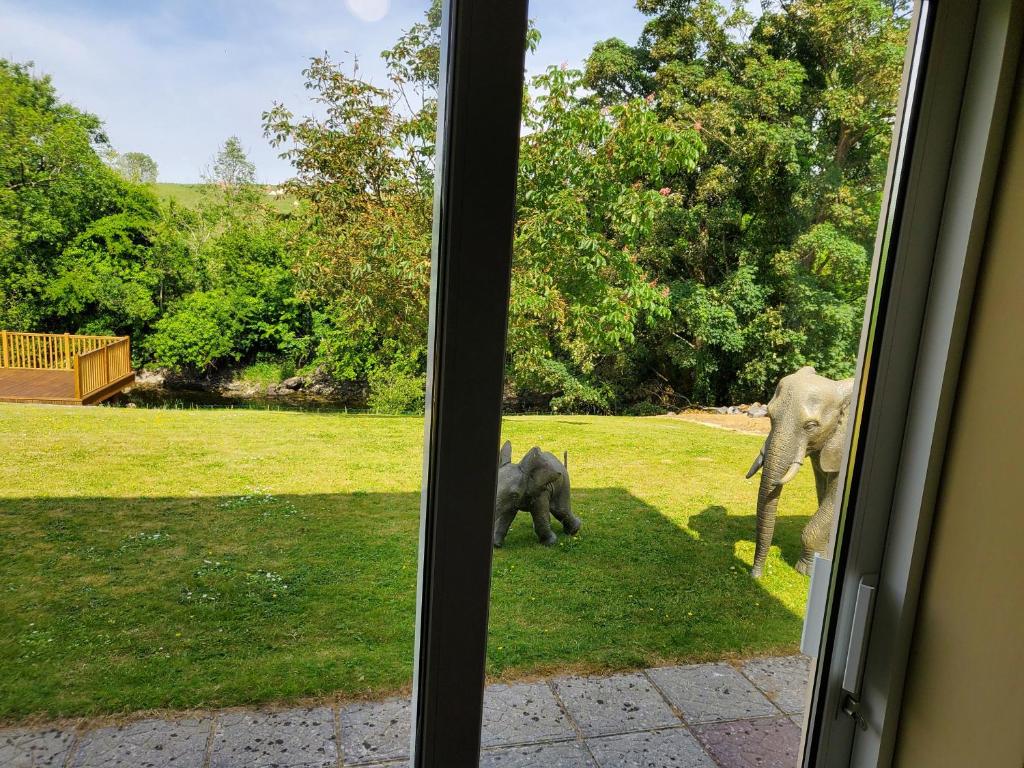 Zahrada ubytování Ardilaun Guesthouse Self Catering
