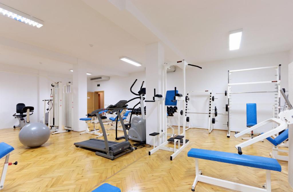 Fitness centrum a/nebo fitness zařízení v ubytování Hotel Epario