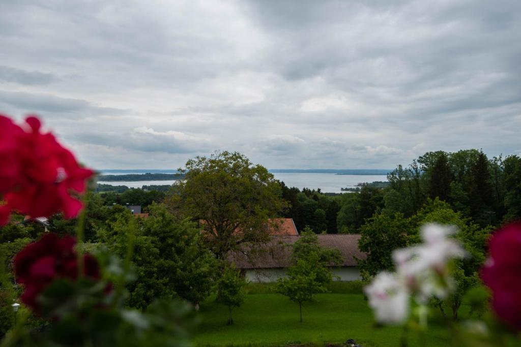 Příroda nedaleko hotelu