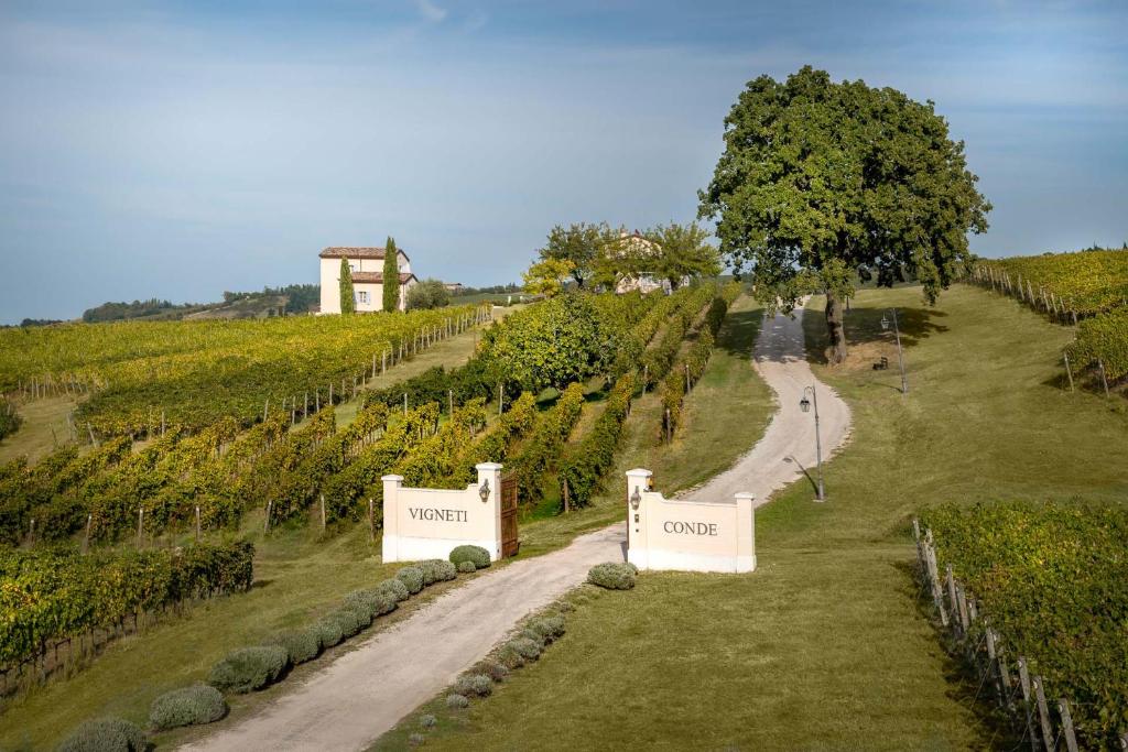 Zahrada ubytování Borgo Conde Wine Resort