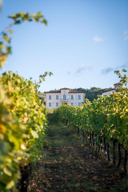 Zahrada ubytování Borgo Conde Wine Resort