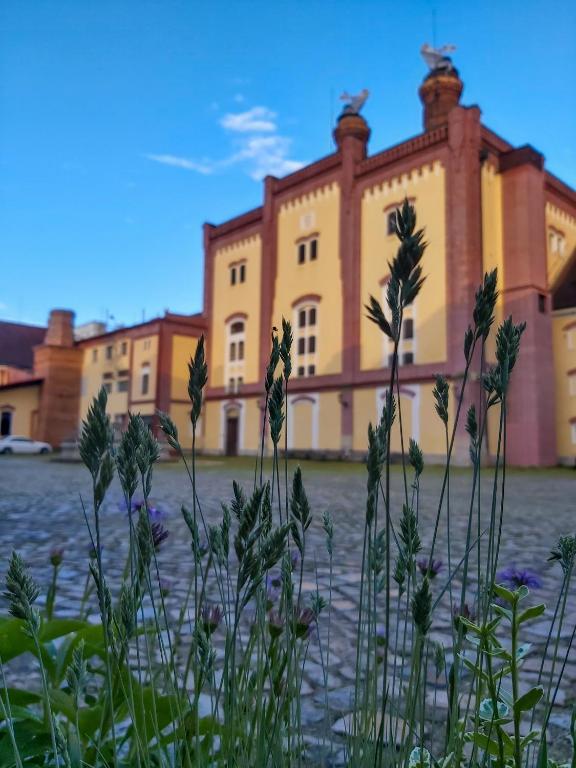 Budova, kde se apartmán nachází
