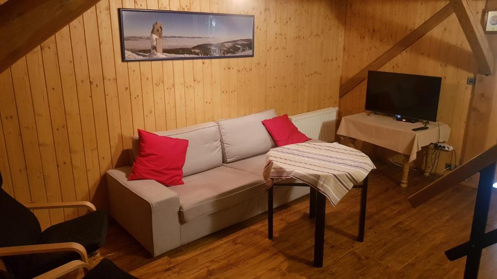 TV a/nebo společenská místnost v ubytování Apartmány Chalupa u Floriánka
