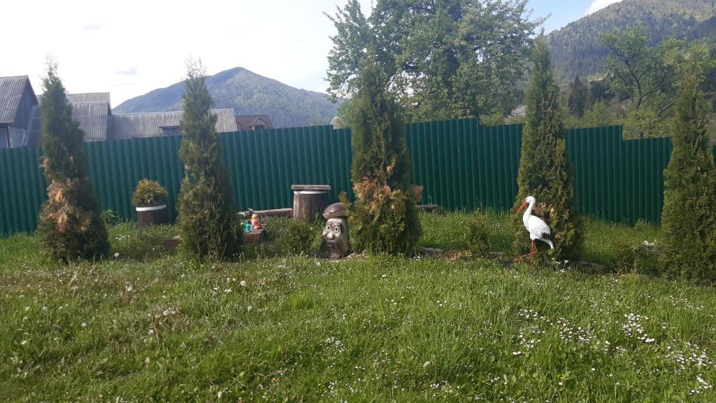 Üldine mäevaade või majutusasutusest Sadyba u Anastasijky pildistatud vaade