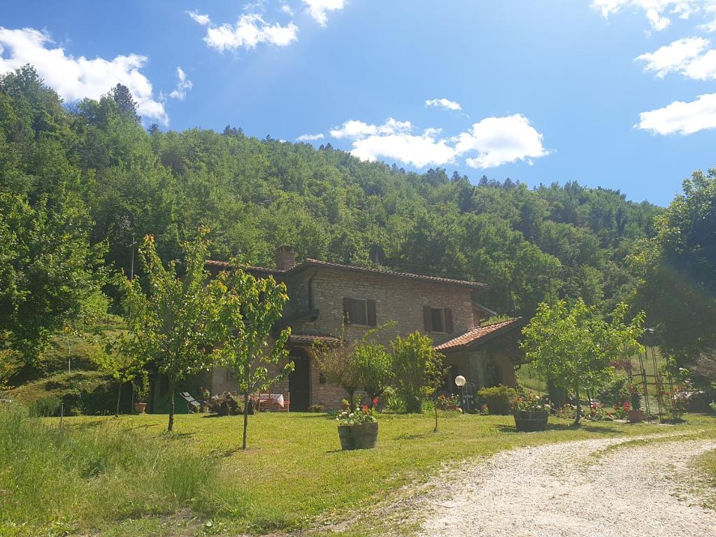 a house in the middle of a field with trees at B&B il Bagarello in Palazzuolo sul Senio