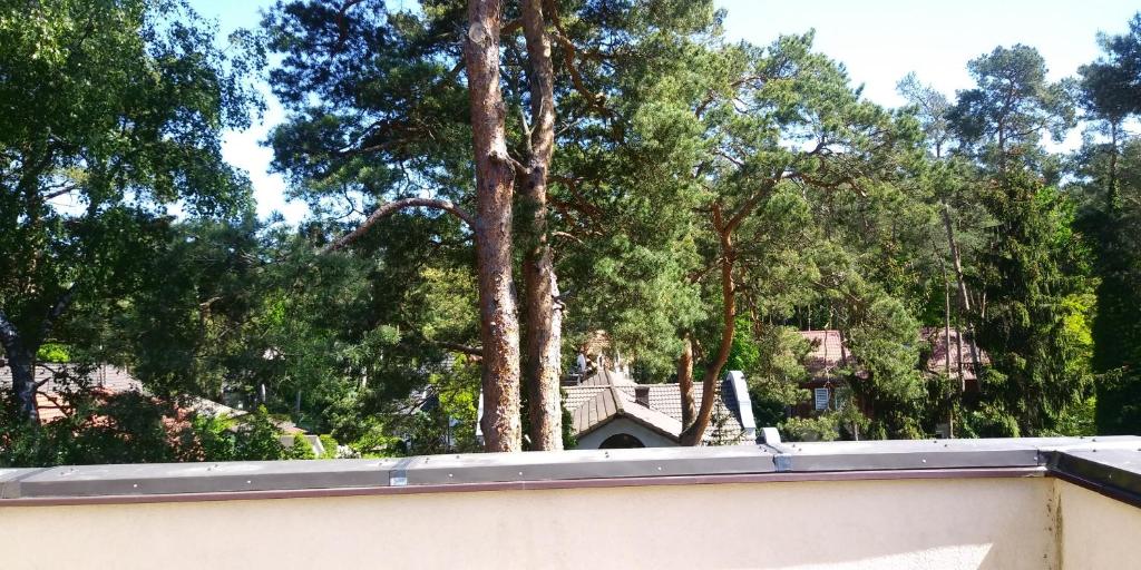 a roof of a house with trees in the background at Dom Gościnny Przy Lesie in Pobierowo