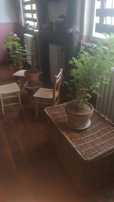 Foto sihtkohas Kalna asuva majutusasutuse Etno Konak Angela galeriist