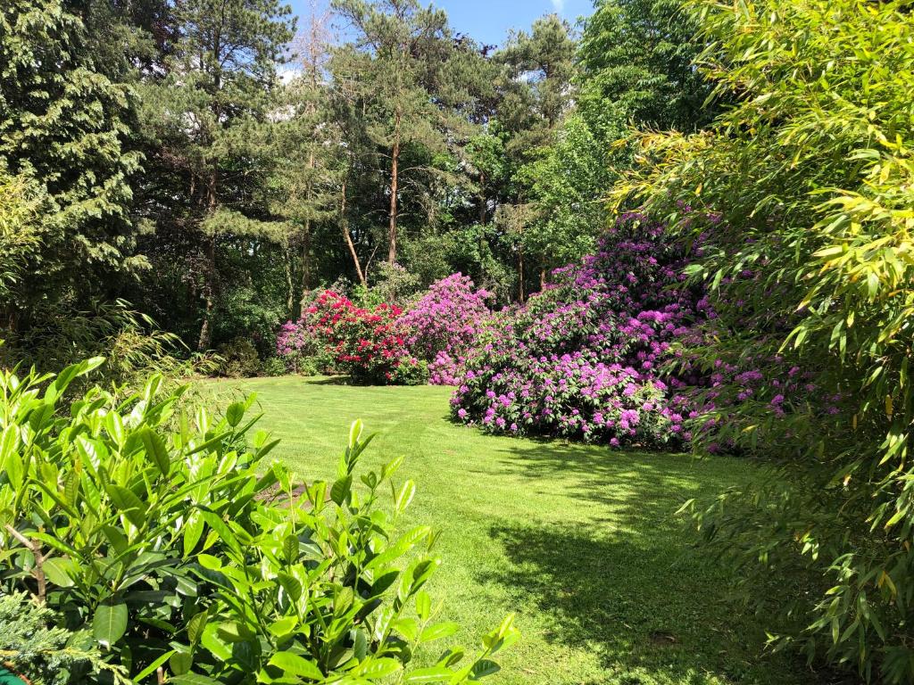 Фото Ferienwohnung Lands Huys