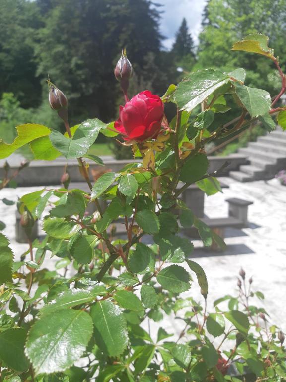 Apartman Ksenija Delnice - 6