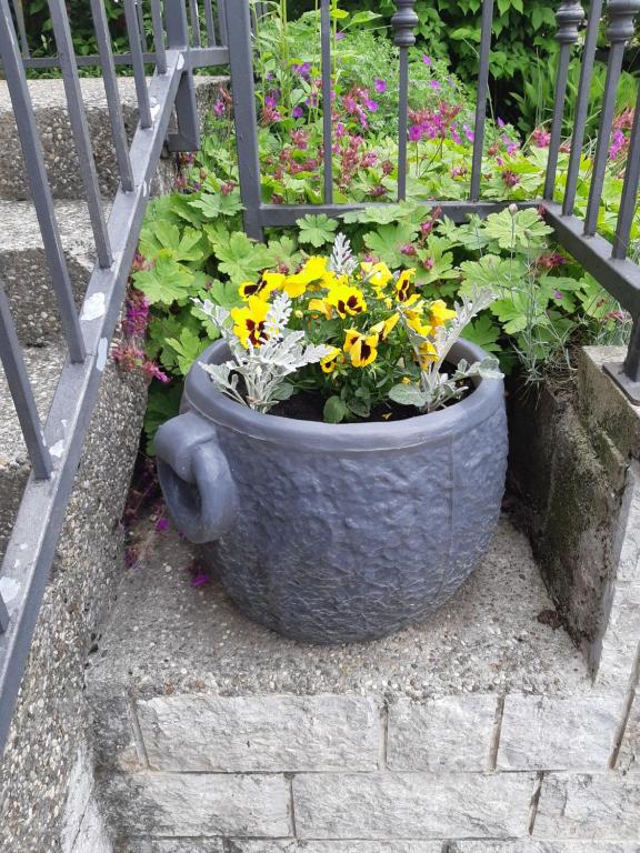 Apartman Ksenija Delnice - 5