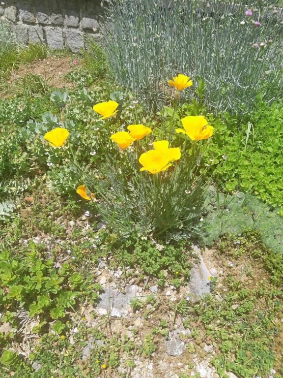 Apartman Ksenija Delnice - 4