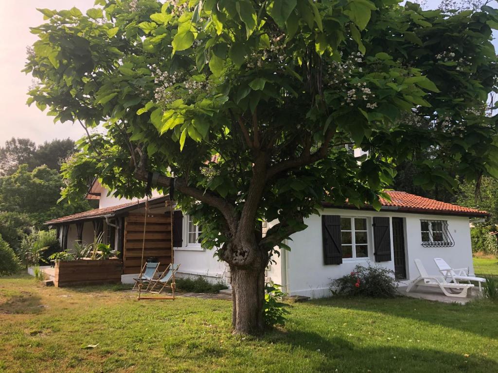 Zahrada ubytování Villa Orcas