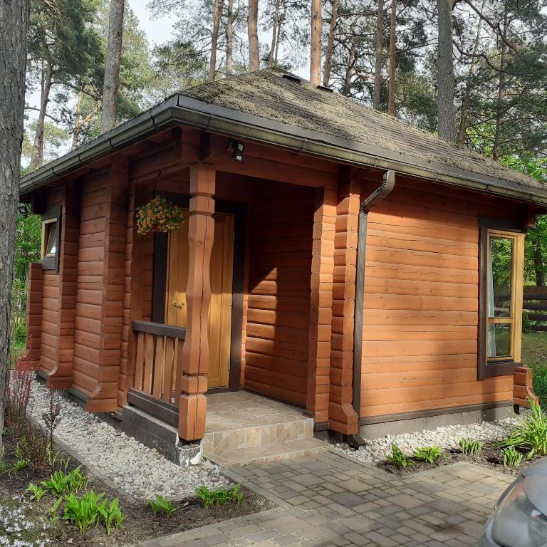 Zīlīšu holiday house - Estudio